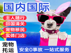 恩施许家坪航空货运国际宠物托运 【国